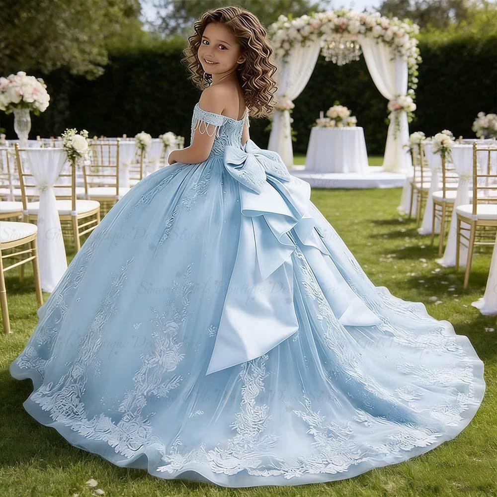 فستان أميرة للحفلات بذيل طويل  - مراجعة Bridal Sash Ribbon وسعره
